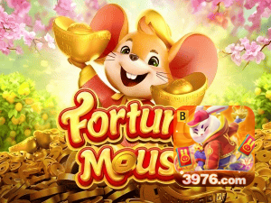 3976 BET login — configurações de segurança e proteção de conta